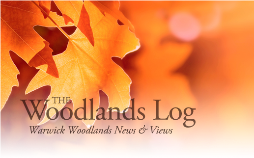 September 10, 2014 - Noname Notebook Skin Bltter, Geeignet Fr Widescreens (516x328), Png Download