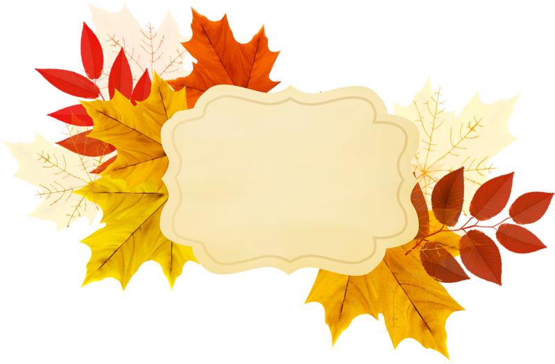 Фото, Автор Иришка-манюшка На Яндекс - Fall And Thanksgiving Backgrounds (800x525), Png Download