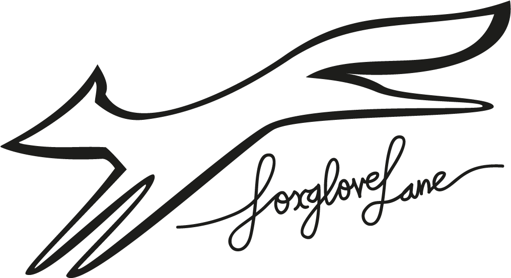 Calligraphy (1024x568), Png Download
