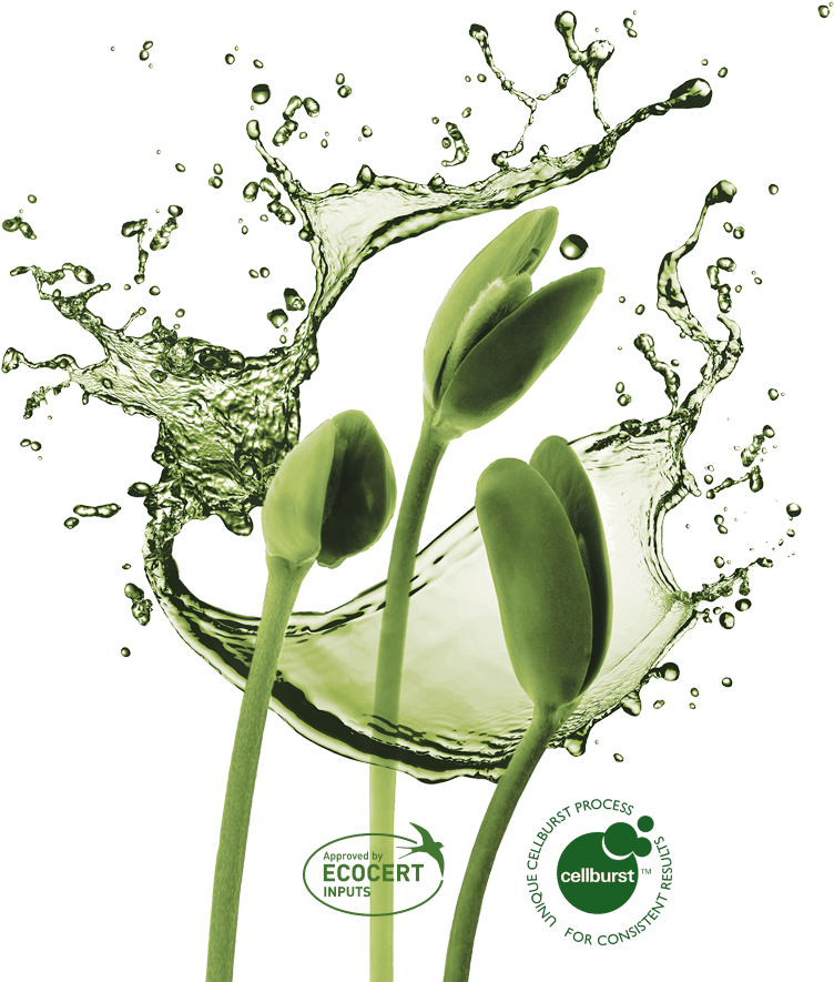 Plant Growth In Harmony With Nature - Water Splash Transparent Background Png (1440x980), Png Download