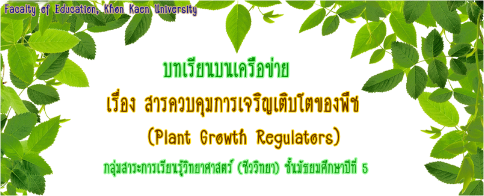 Maryruth Organics Organic Vitamin Hand & Body Scrub (965x392), Png Download