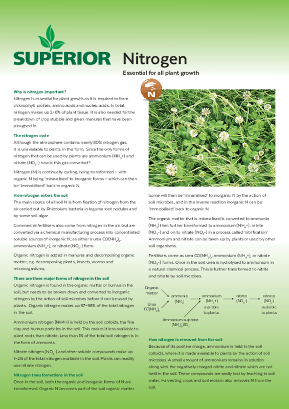 Essential For All Plant Growth - Brochure (565x800), Png Download