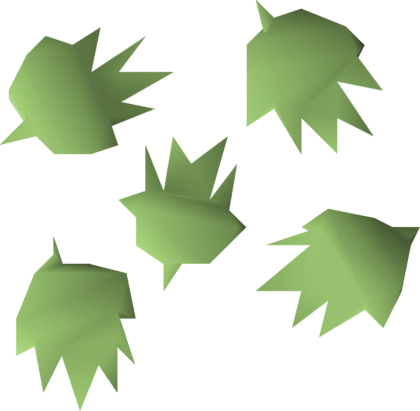 Cactus Seeds Can Only Be Planted In The Cactus Patch - Old School Runescape (858x840), Png Download