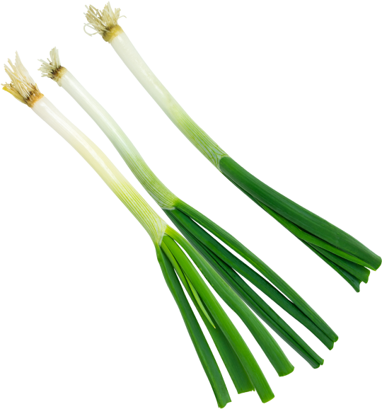 Green Onion - Portable Network Graphics (866x650), Png Download