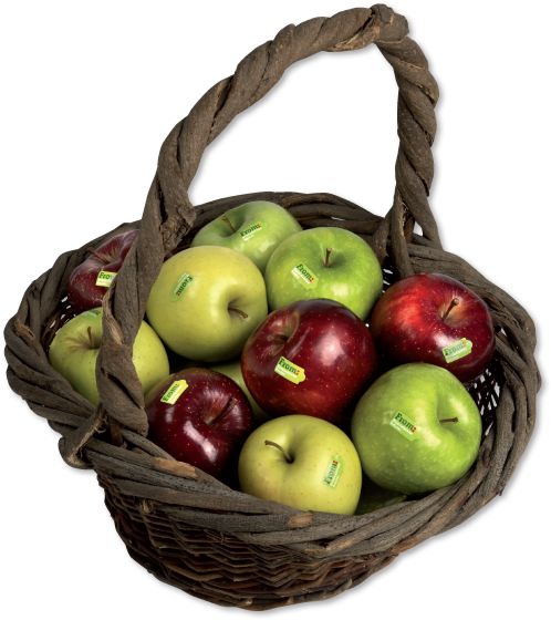 From Italian Apples - Italian Apple (516x563), Png Download