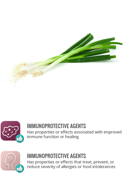 Antioxidants - Leeks Fresh (420x555), Png Download