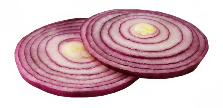 Onion Slice - Red Onion Slices Png (740x360), Png Download