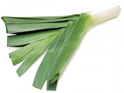 Leeks - Leek Vegetables Png (400x300), Png Download
