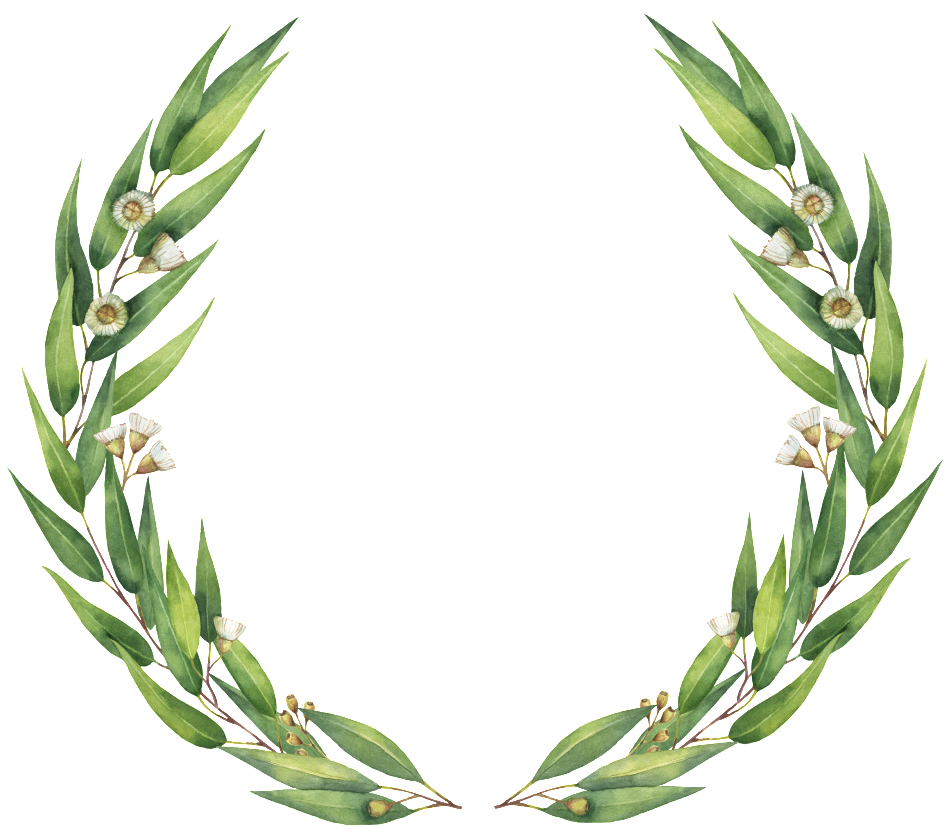 Simple Guirnalda Png De Hoja De Sauce - Eucalyptus Clip Art Free (1024x1024), Png Download