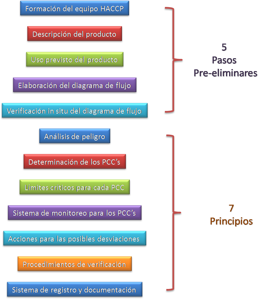 El Proceso De Implantación Deberá Seguir Las Diferentes - Pasos Y Principios Del Haccp (933x1050), Png Download