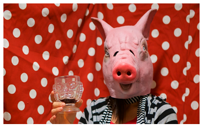 She Brings Warmth And Sunshine To Our Artists, But - Domestic Pig (447x338), Png Download