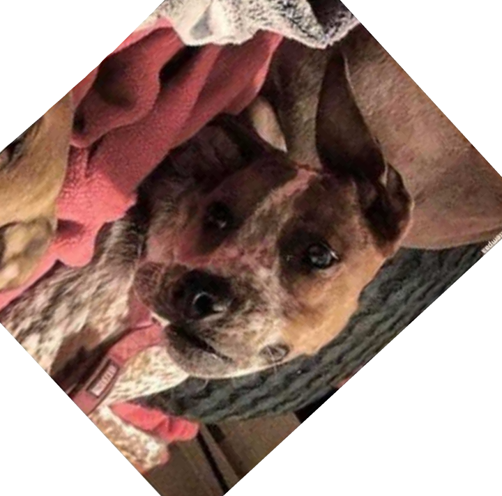 Check Out The Earlier Comment By Tetragrade Replying - Meme (720x712), Png Download