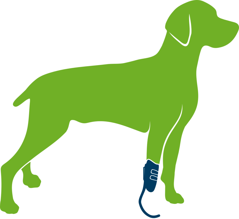 Dog With Prosthesis Only (1000x915), Png Download