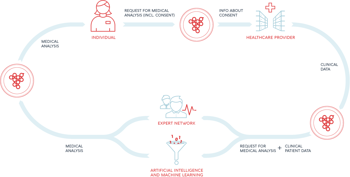 Alternatively, You Can Also Purchase Grapevine World - Diagram (1217x617), Png Download