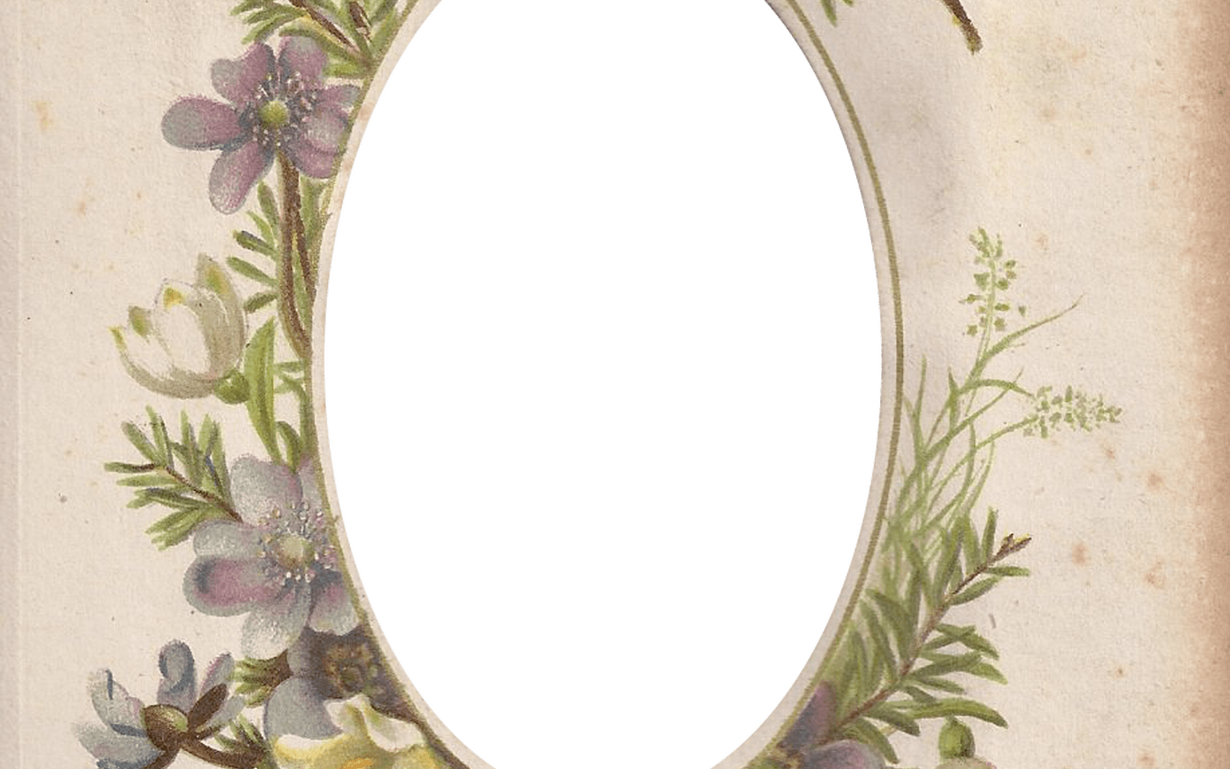 Victorian Photo Album Oval Floral Frame ~ Zibi Vintage - Frame Vintage Oval Floral Png (1368x855), Png Download