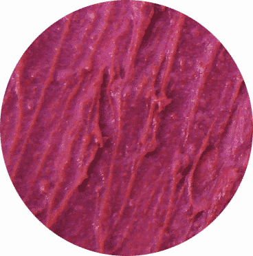 Lightbox - Circle (368x372), Png Download