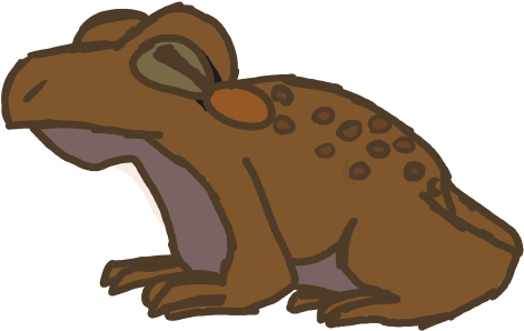 Toad Knows - Illustration (485x305), Png Download