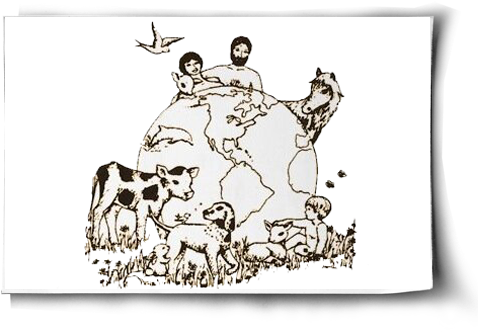 History (500x344), Png Download