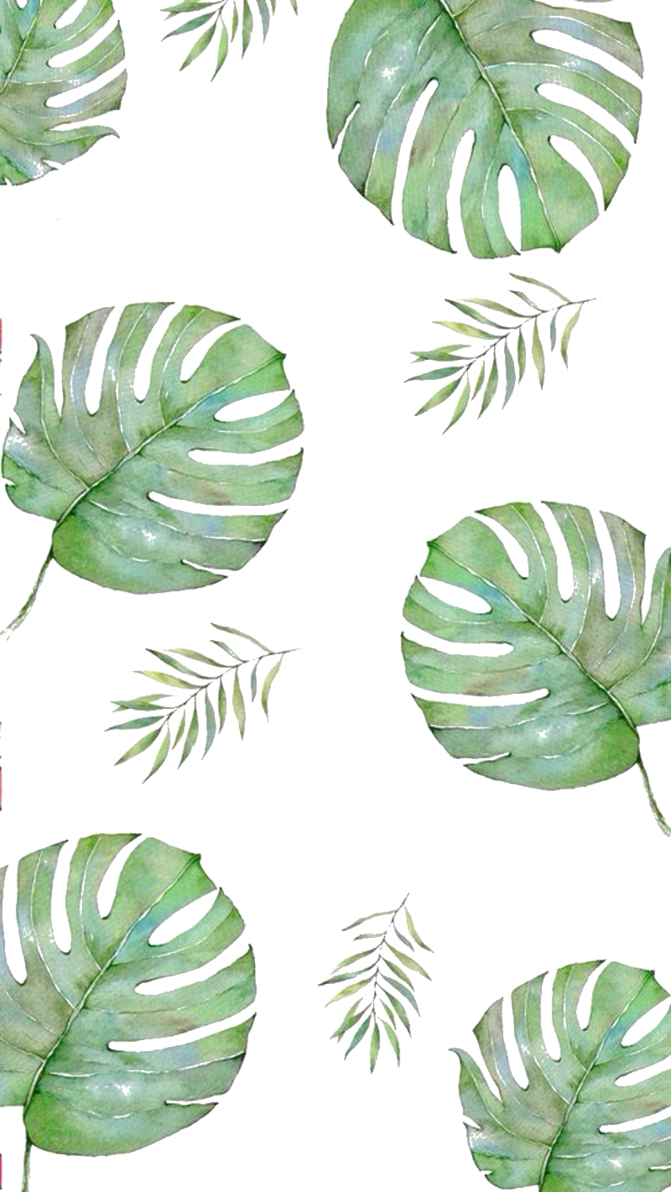 F2u Plant Custom Box By Umieart-dbfft85 - Летние Обои На Айфон (671x1192), Png Download
