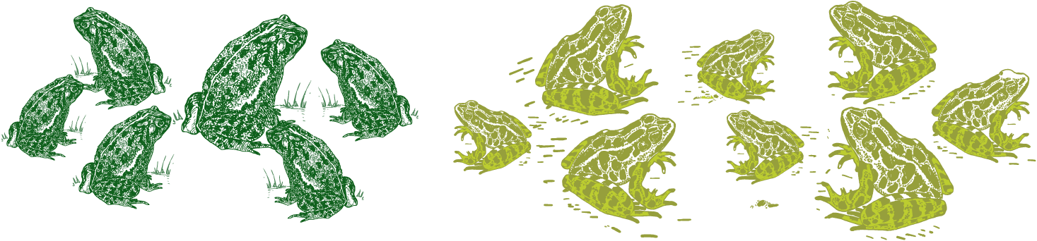 The Pet Store Is Split Into 5 Sections - Cafepress Throw Pillow (1467x342), Png Download