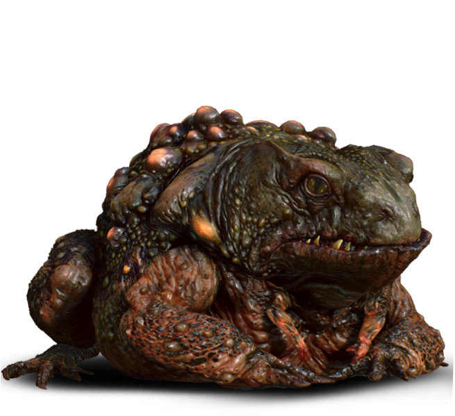 Devil Toad Dungeons And Dragons (654x727), Png Download