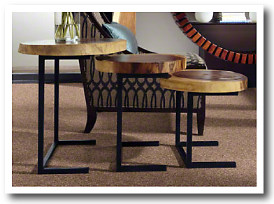 Savory Days Cleartouch Carpet By Shaw - Carpet (400x300), Png Download