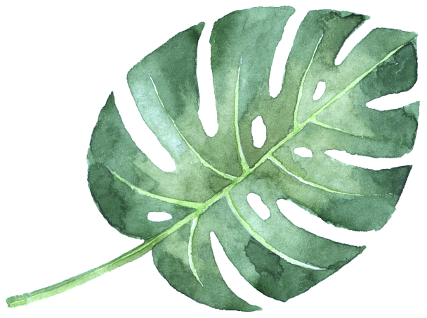 All Content © Copyright Sandalsatthebeach - Watercolor Painting (736x794), Png Download