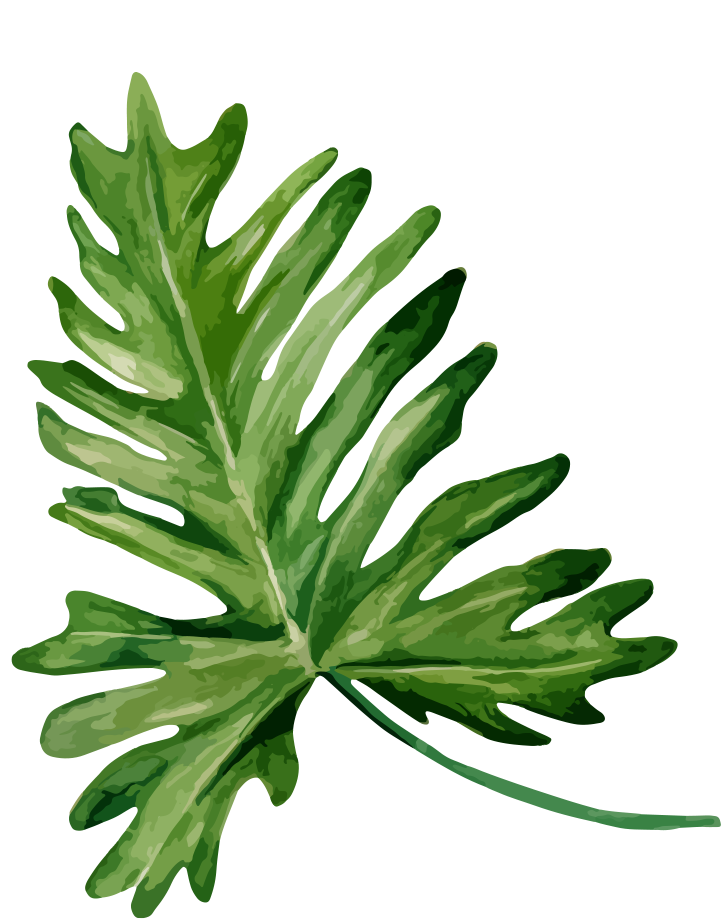 Passion - Bandinist Floppy Bow Headband-tropical Mix (730x928), Png Download