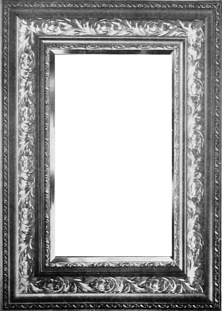 Ornate Black Picture Frame Png Download - Mirror (731x1025), Png Download