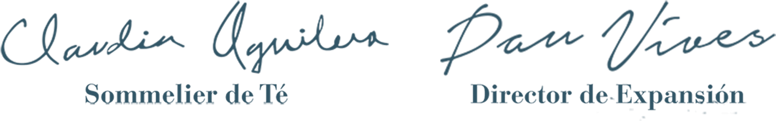 Porque Merecemos Una Taza De Buen Té - Calligraphy (1600x485), Png Download