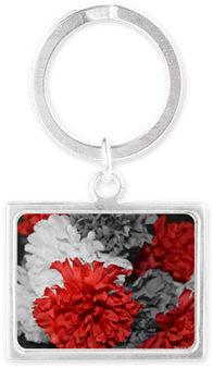 Color Splash Red Carnations Keychains Red Carnation, - Keychain (350x350), Png Download
