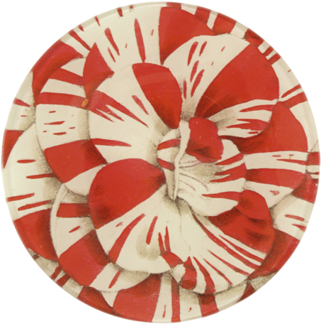 Red & White Carnation - Circle (500x500), Png Download