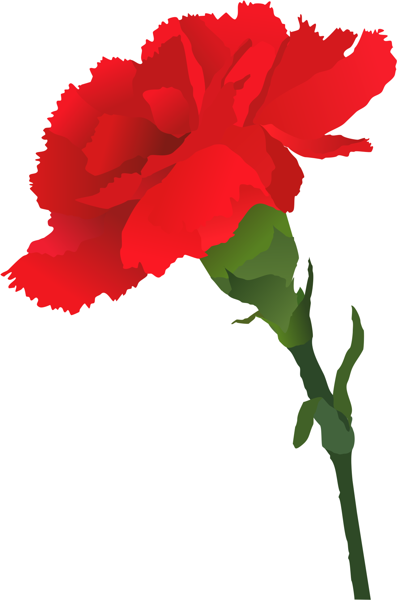 Rose Vector Clipart - Rose (1697x2400), Png Download