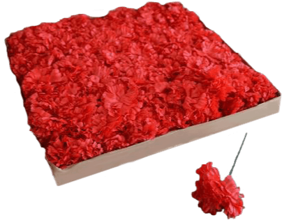 Get A Box Of Red Carnations To Insert Into Your Media - Step And Repeat (800x800), Png Download