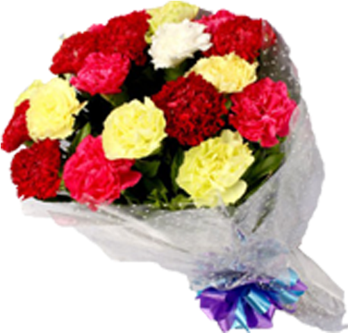 15 Mixed Carnation Roses - Mix Carnations Bouquet (500x500), Png Download