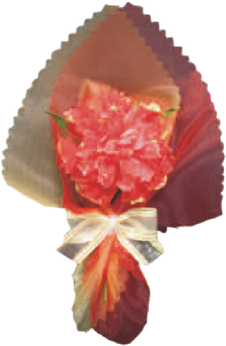 Red Carnations - Fruit (800x800), Png Download