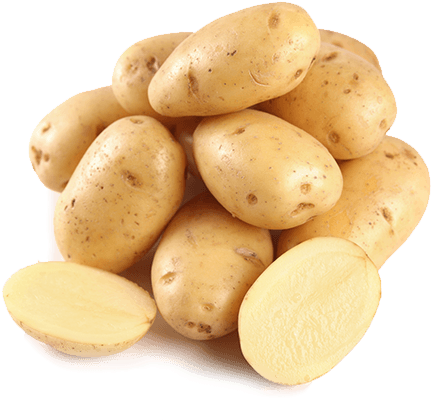 Potato Png Download - Potato Png (480x440), Png Download