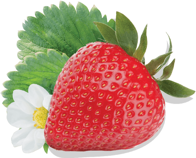 Strawberry (649x524), Png Download
