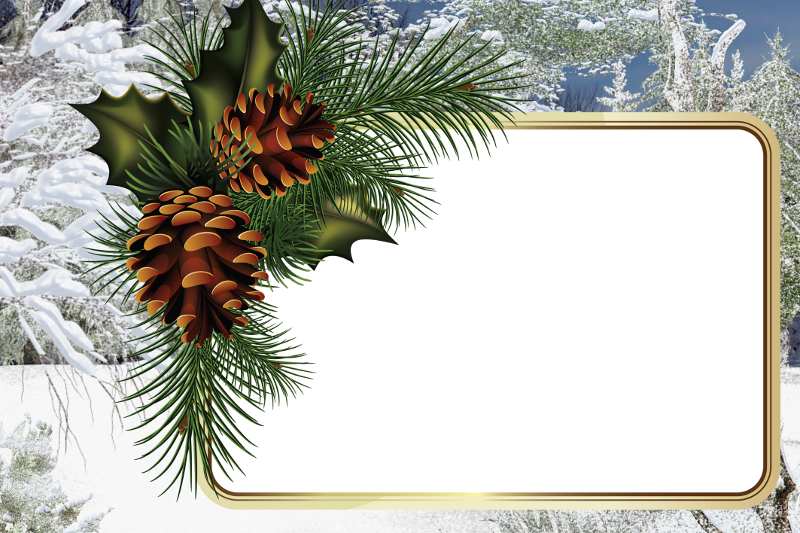 Album - Free Pine Cone Christmas Borders (800x533), Png Download