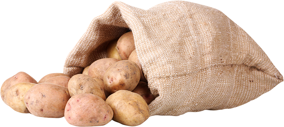 Welcome To Yoyo Foods, Makers Of Yoyo Fun Snacks We're - Russet Burbank Potato (915x410), Png Download