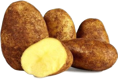 Potato Dutch Cream - Yukon Gold Potato (433x433), Png Download