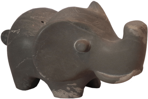 Elephant Trunk - Indian Elephant (550x700), Png Download