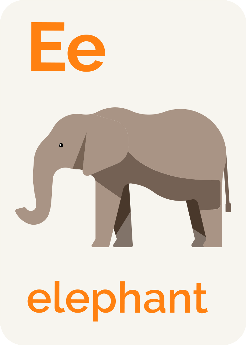 The Trunk - Indian Elephant (877x1200), Png Download