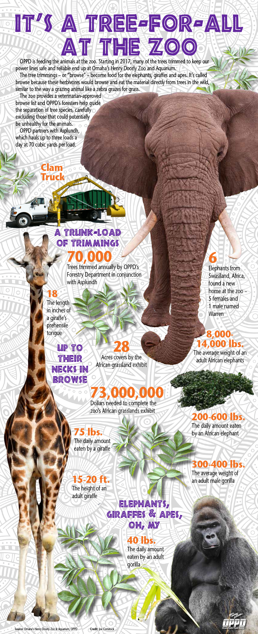 “it's A Very Welcome Bonus - Animals In Danger In Africa [book] (1020x2500), Png Download