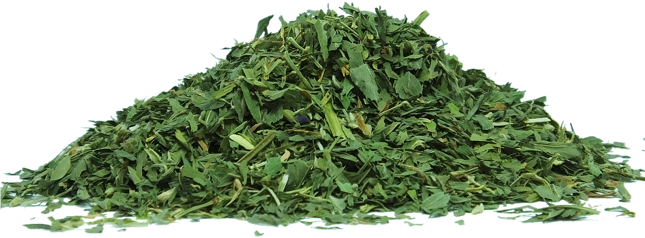Green Tea Matcha Dried Leaves - Organiozz Natural Teeth Whitening White Strips Powder (1267x492), Png Download