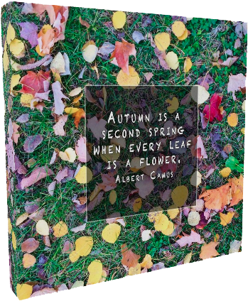 Autumn Flowers Mnspiration - Flower (377x430), Png Download