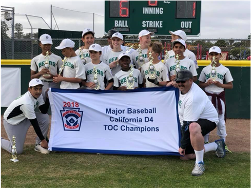 2018 Major Baseball Toc Champions - Little League Baseball (960x365), Png Download