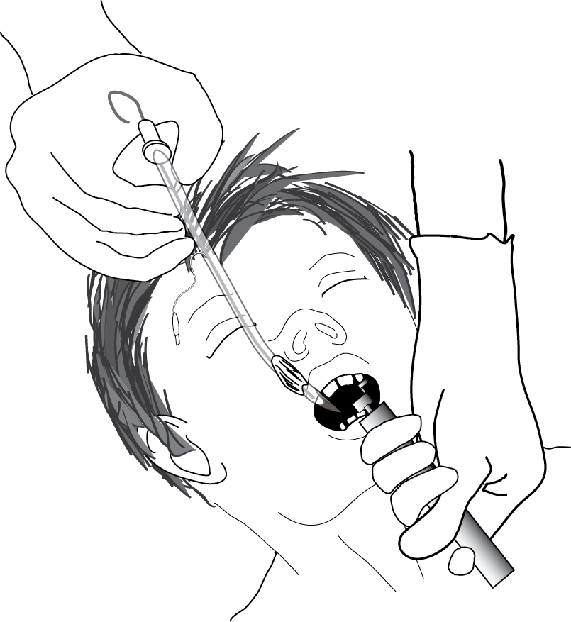 Hand Holding Pencil Png Download - Larynx (805x877), Png Download