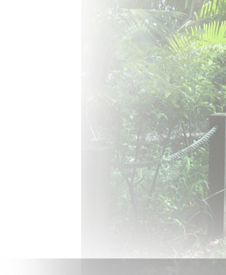 Picture - Grass (326x397), Png Download