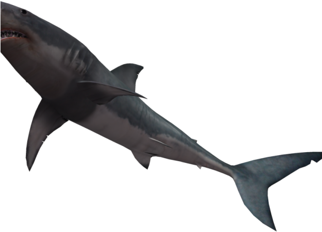 Great White Shark Clipart Realistic Shark - Shark Underwater Png (640x480), Png Download